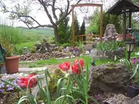 PIC_0371.webp