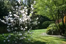 IMG_1097 - Kopie.webp