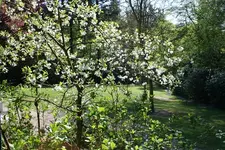 IMG_1150 - Kopie.webp