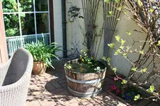 IMG_1151 - Kopie.webp
