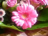 JD800015.webp