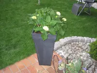 015.webp