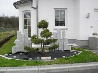 CIMG1630.webp