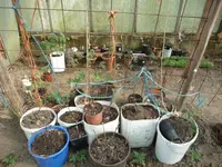 19.4.10 062.webp