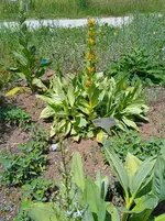 IMG_20260629_131801.webp