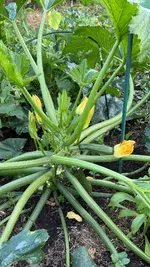 IMG_9058.webp IMG_9058.webp