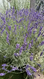 IMG_9054.webp
