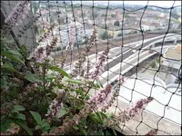 c064.webp