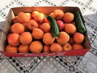 IMG_20260701_083448.webp