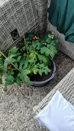 20260701_152513.webp