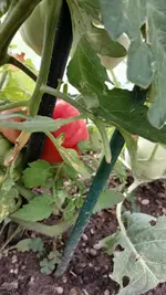20260701_152940.webp