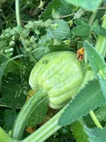 IMG_1010.webp IMG_1010.webp
