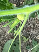 IMG_1003.webp IMG_1003.webp