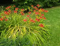 IMG_20260628_171010.webp