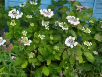 IMG_20260627_205653.webp
