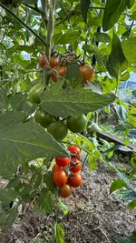 IMG_9087.webp IMG_9087.webp