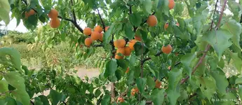 IMG_20260628_194027.webp