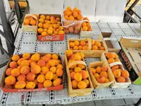 IMG_20260703_111740.webp