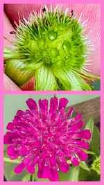 20260629_173118-COLLAGE.webp