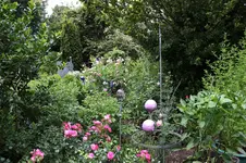 Elis-Garten 0126.webp