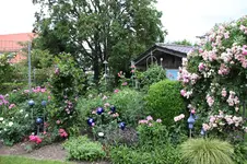 Elis-Garten 0226.webp