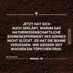 1783246662178.webp