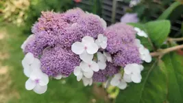 20260705_143207.webp