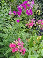 20260708_112034.webp