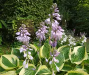 IMG_20260708_175718.webp