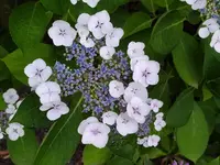 IMG_20260708_175837.webp