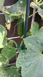 20260710_140834.webp