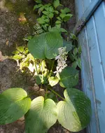 IMG_20260712_112241.webp