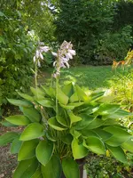 IMG_20260712_112109.webp