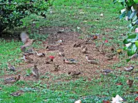 IMG_2368 v (2).webp