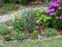 Mulch auf dem Blumenbeet.webp
