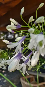 20260717_150428.webp