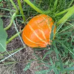 IMG_9571.webp IMG_9571.webp