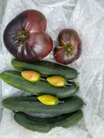 IMG_9578.webp IMG_9578.webp
