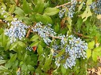 20260721_145553.webp