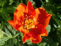 2026Geum1.webp