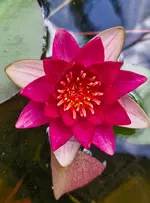 20260722_162814.webp