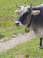 IMG_20260718_122548_1.webp