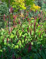 IMG_20260723_161839_1.webp
