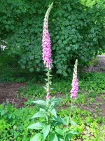 IMG_20260602_121442_1.webp