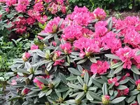 IMG_20260601_122829_1.webp