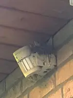 Nest.webp