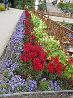 P1011336 - Kopie.webp