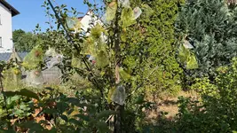 IMG_9800.webp IMG_9800.webp