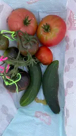 IMG_9825.webp