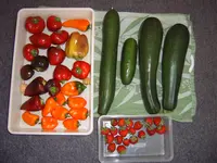 Ernte 04.08 (2).webp